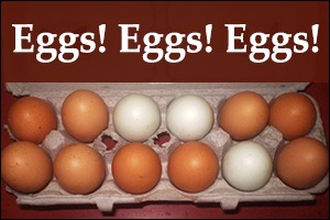 Homestead eggs