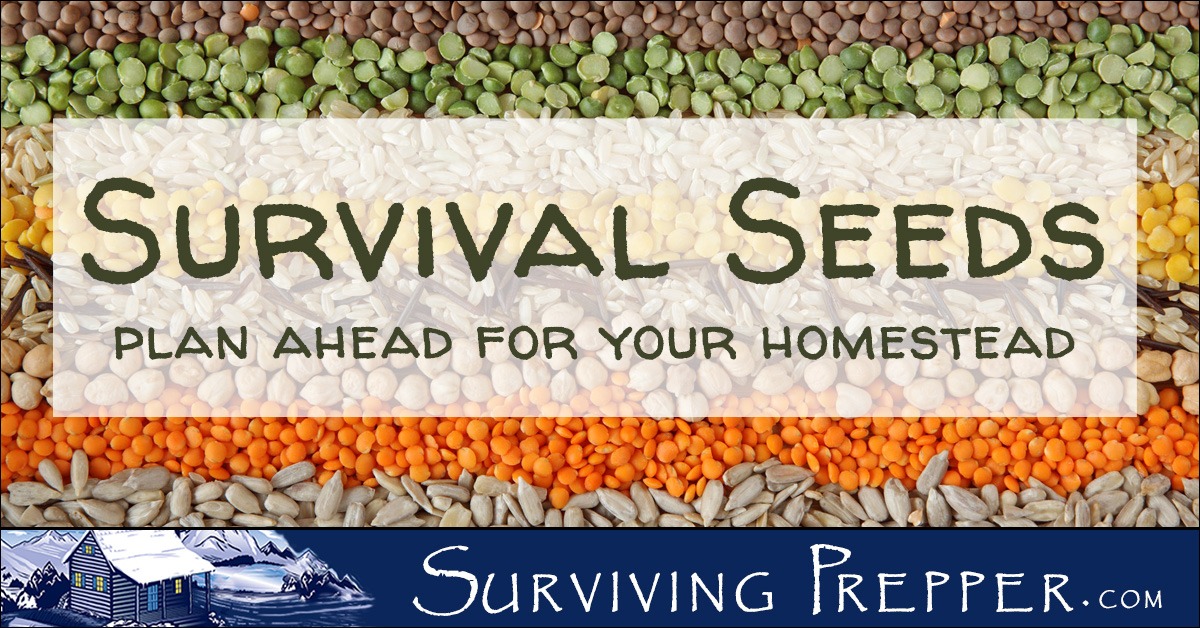 Survival Seeds From Hometown Seeds Surviving Prepper