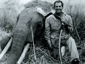 Howard Hill Elephant Kill